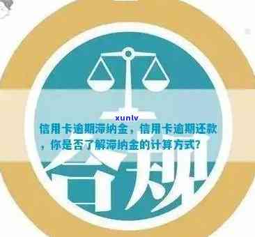 信用卡逾期还款最合适 *** ：如何避免罚息和滞纳金？