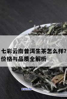 七彩普洱茶品鉴指南：全面了解价格、品质与口感的关键因素