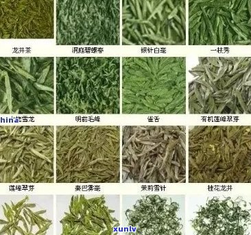 吉林市茶叶场：寻找高质量茶叶的去处，了解茶叶种类和购买指南