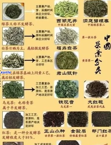 吉林市茶叶场：寻找高质量茶叶的去处，了解茶叶种类和购买指南