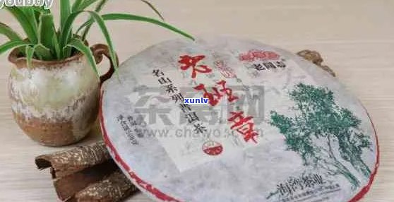 毅普茶饼价格：熟普洱茶200克多少钱？