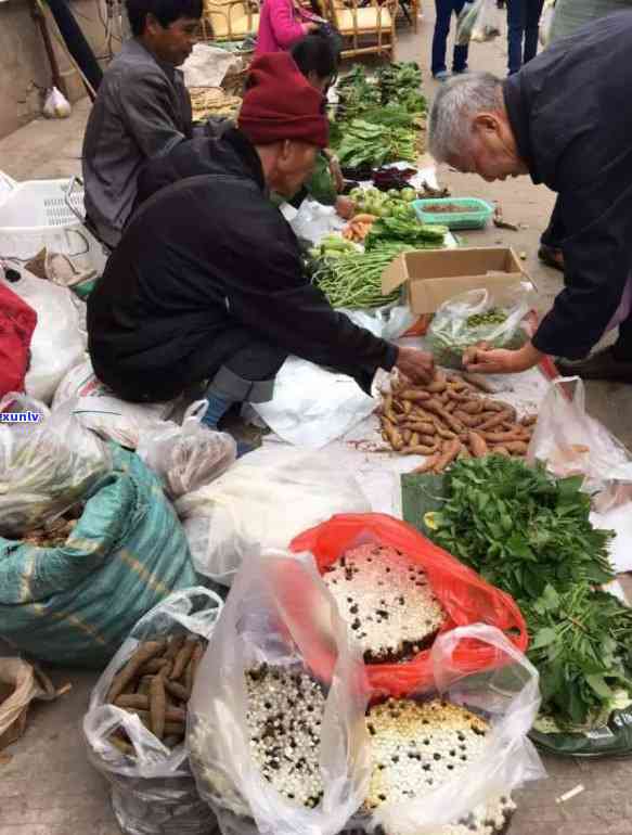 普洱茶与人参同泡：健饮品的搭配还是禁忌？