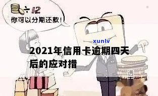 2021年信用卡年费逾期还款新规定：理解、影响与应对策略