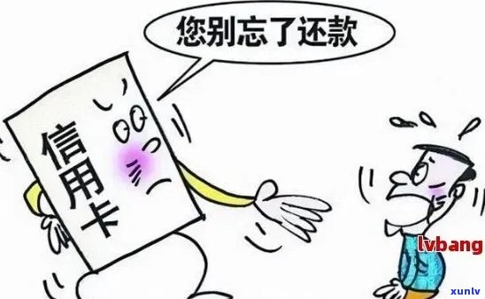 信用卡年费逾期无法贷款