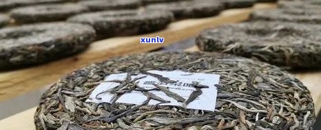 好的普洱茶生产厂家有哪些：产地排名