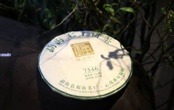 百福堂景迈山普洱茶