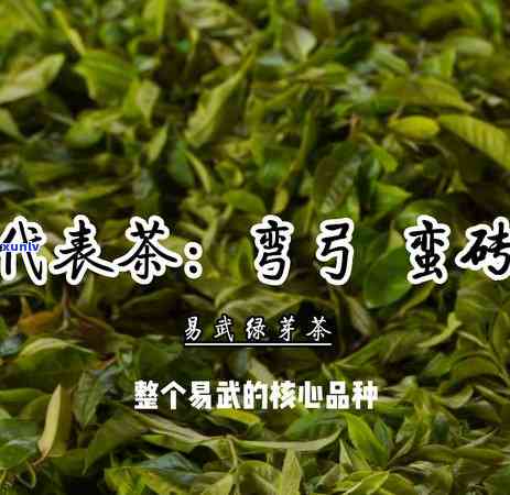 新 大叶生普洱茶的冲泡技巧：步骤、水质和时间的重要性