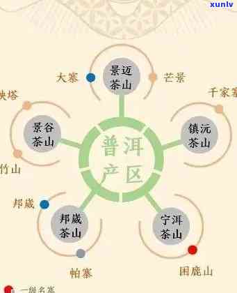 勐库普洱茶口感全面指南：从香气到回，一次品尝尽享各种风味！