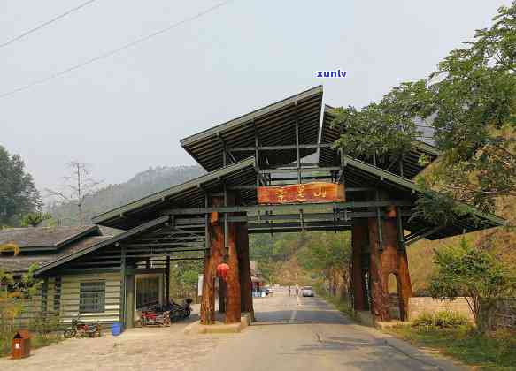 普洱茶六大名山深度解析：地理位置、品质特点与市场影响力排名