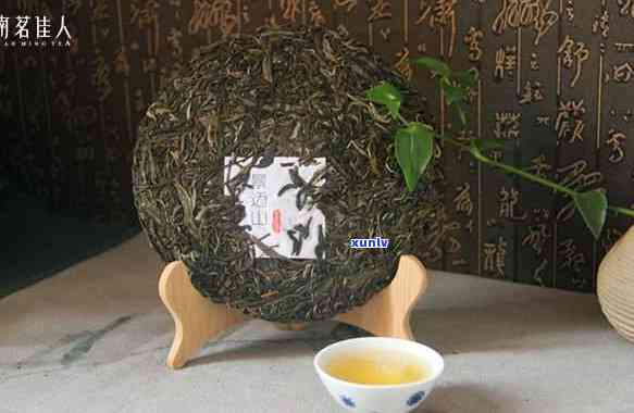 景迈山春茶市场价格分析：了解茶叶行业的关键指南