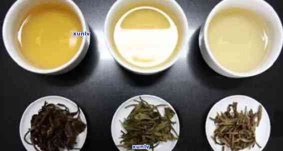 普洱茶与白茶混饮：口感和功效的双重体验