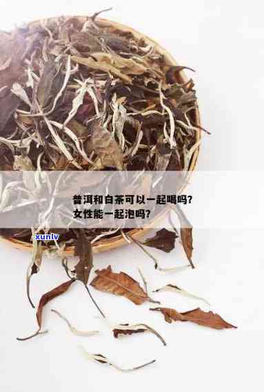 普洱茶和白茶能一起喝吗女性：存放与饮用的建议