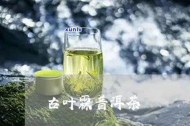 古叶霖普洱茶多少钱