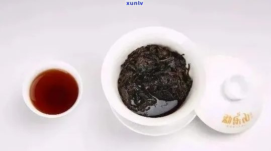 普洱茶一次泡多少粒最合适？