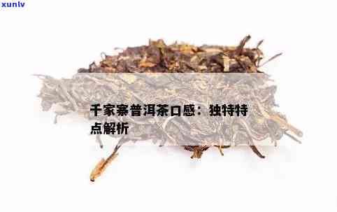 千家寨普洱茶：独特的风味及其口感特征探讨