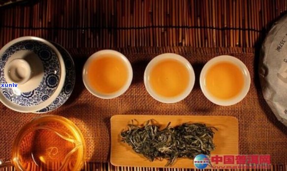 全面品鉴大家风范茶叶：品质、产地、泡法与口感详解