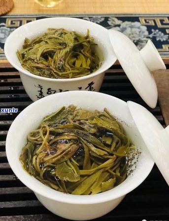 抖音大家风范普洱茶