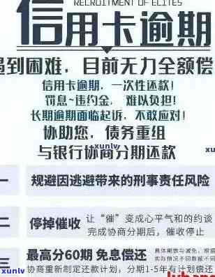 招商银行信用卡还款部门名称，信用卡逾期还款处理，招行信用卡欠款解决方案