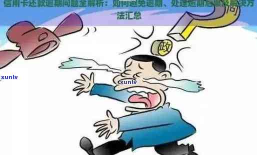 欠信用卡被发拘捕令：处理指南与应对策略