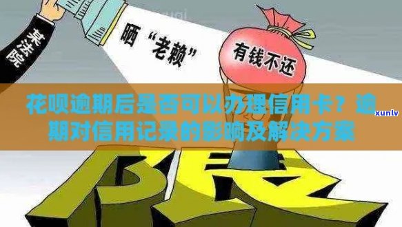 支付宝花呗逾期后，信用卡申请是否受影响及办理成功率分析