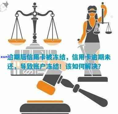 信用卡逾期后如何分期还款以避免账户冻结？全面解决方案一文解析