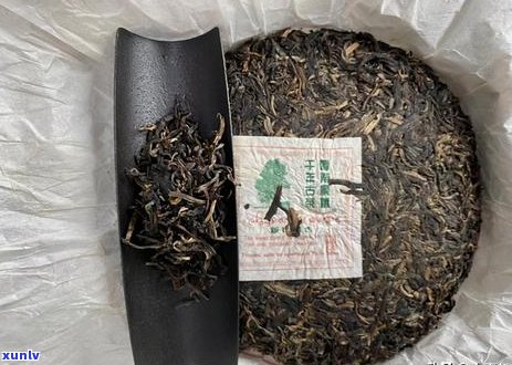 云南女儿红普洱茶饼：档次高，功效多，价格实。