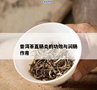 普洱茶能直肠炎吗