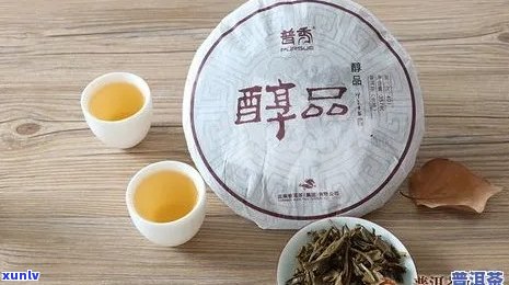 牌厚德载物普洱茶：品种、产地、年份、口感、功效等全面解析与选择指南