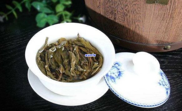 普洱茶六山春尖生普：品种特征、 *** 工艺与品鉴技巧全方位解析