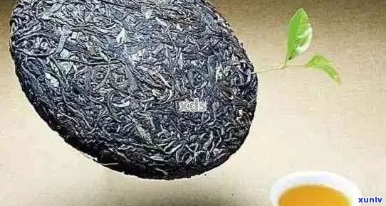 普洱茶是什么样的茶叶形状和品种？