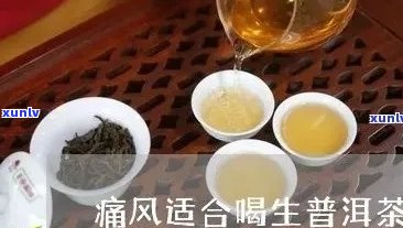 普洱茶对痛风病患者的影响：痛风病患者可以喝普洱茶吗？