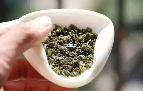 痛风病能喝普洱茶吗