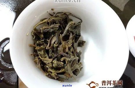 普洱茶大白菜：探究普洱茶中的大白菜意涵及所属公司产品。