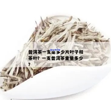 天玺普洱茶：一盒茶叶包含多少片？如何计算茶叶数量？