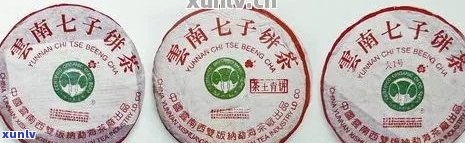 天玺普洱茶一盒几片装：规格与数量解析