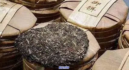 天玺普洱茶一盒几片装：规格与数量解析