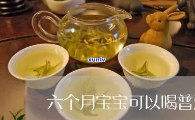 9个月宝宝喝普洱茶