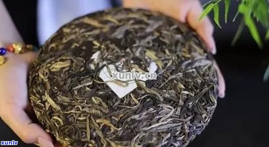 寻找优质普洱茶饼：价格合理且口感出众的推荐