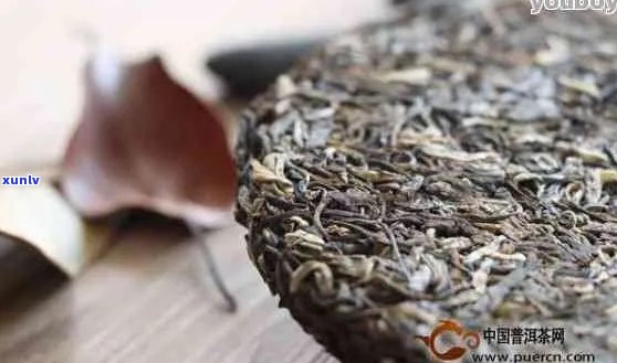 蝶月阁普洱茶口感好喝吗？多少钱一斤？