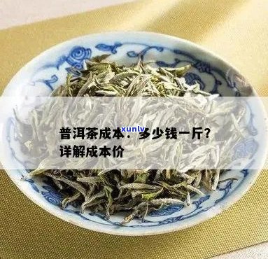 普洱茶市场价格波动：一斤茶叶的真实成本是多少？