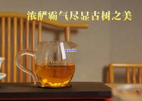 普洱茶冲泡的水量和比例：一泡需要多少毫升水？如何才能得到口感？