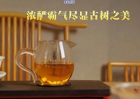 普洱茶冲泡的水量和比例：一泡需要多少毫升水？如何才能得到口感？