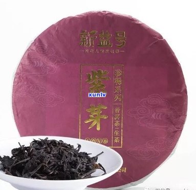 '推荐一款紫芽普洱茶：理由与选择'