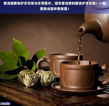 普洱茶与牙套：能否共存？如何正确饮用以保护牙齿？