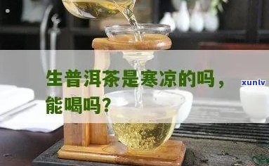 生普洱茶是寒凉的吗？能喝吗？还是热的或者凉的？属于寒性吗？