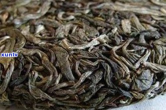 普洱茶生茶的寒性特征：真相揭秘与适宜饮用人群探讨