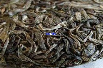 普洱茶生茶的寒性特征：真相揭秘与适宜饮用人群探讨