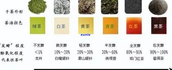 普洱茶：绿茶还是黑茶？分类争议及其独特魅力