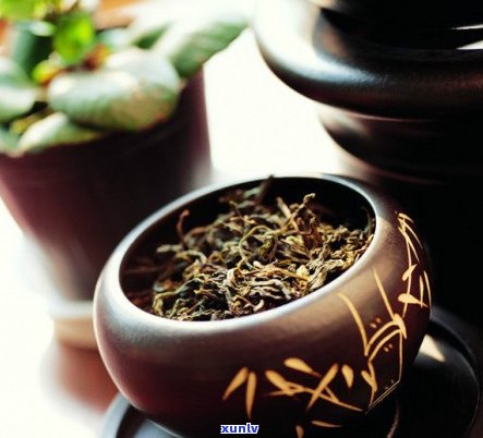 普洱茶的分类：它属于绿茶还是黑茶？了解这两种茶的区别与联系