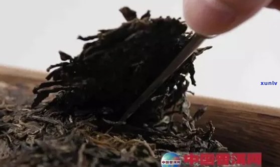 新 普洱茶包装惊现塑料绳，消费者安全受